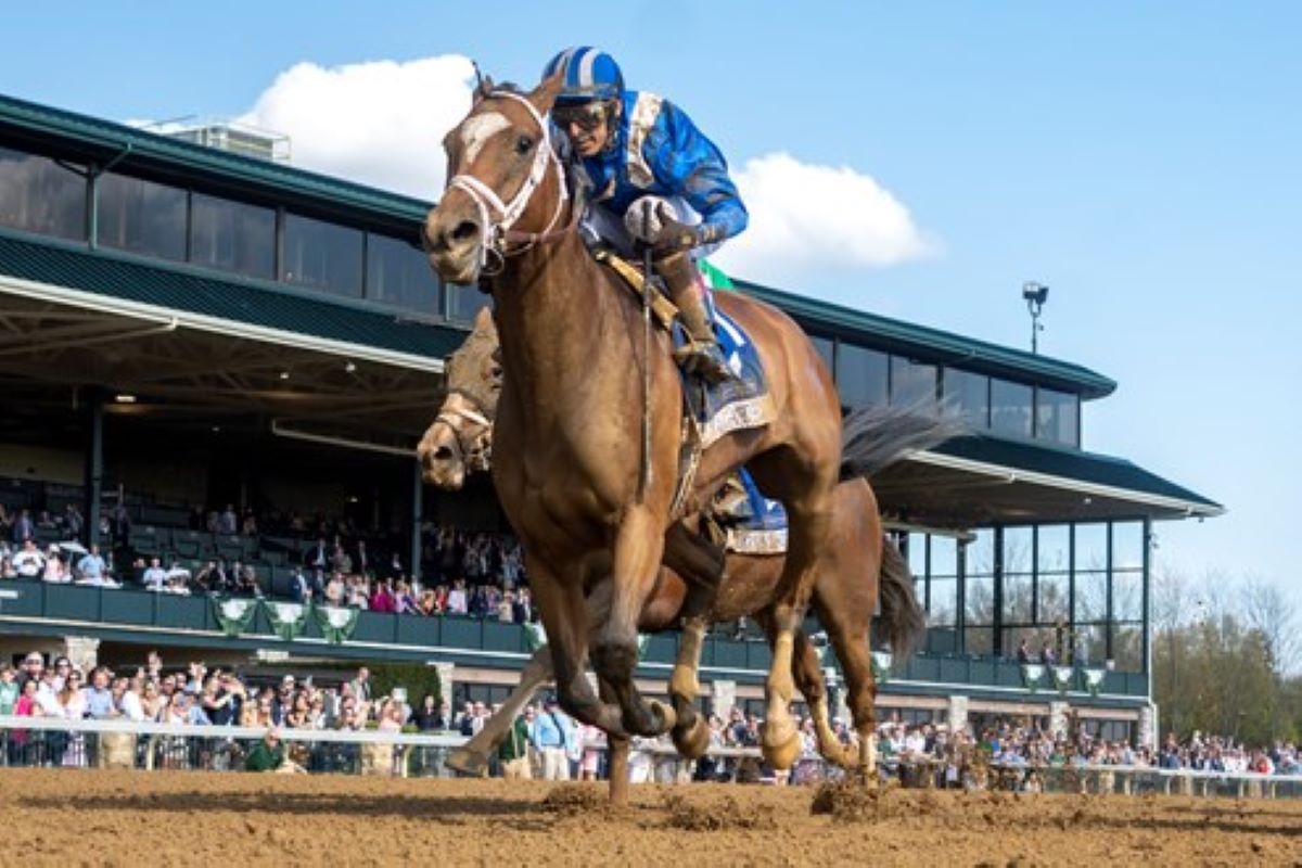 This Year’s Ogden Phipps Resembles a Filly and Mare All-Star Race