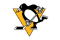 Pittsburgh Penguins