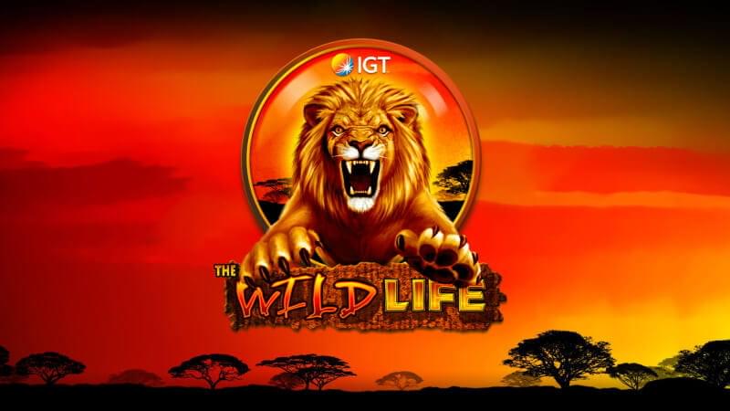 Wild Life Free Online Slots casino slot games for free playing 
