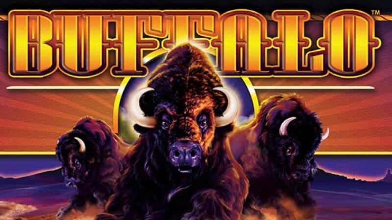 Buffalo Slot Machine Review – Play Buffalo Slots Free Online!