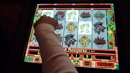 Tabasco Slot Machine App Tabasco Slot Machine App