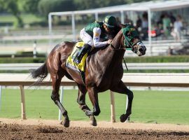 Bolt D’Oro is the early selection by oddsmakers to win the Kentucky Derby at 4/1. (Image: Benoit Photo)