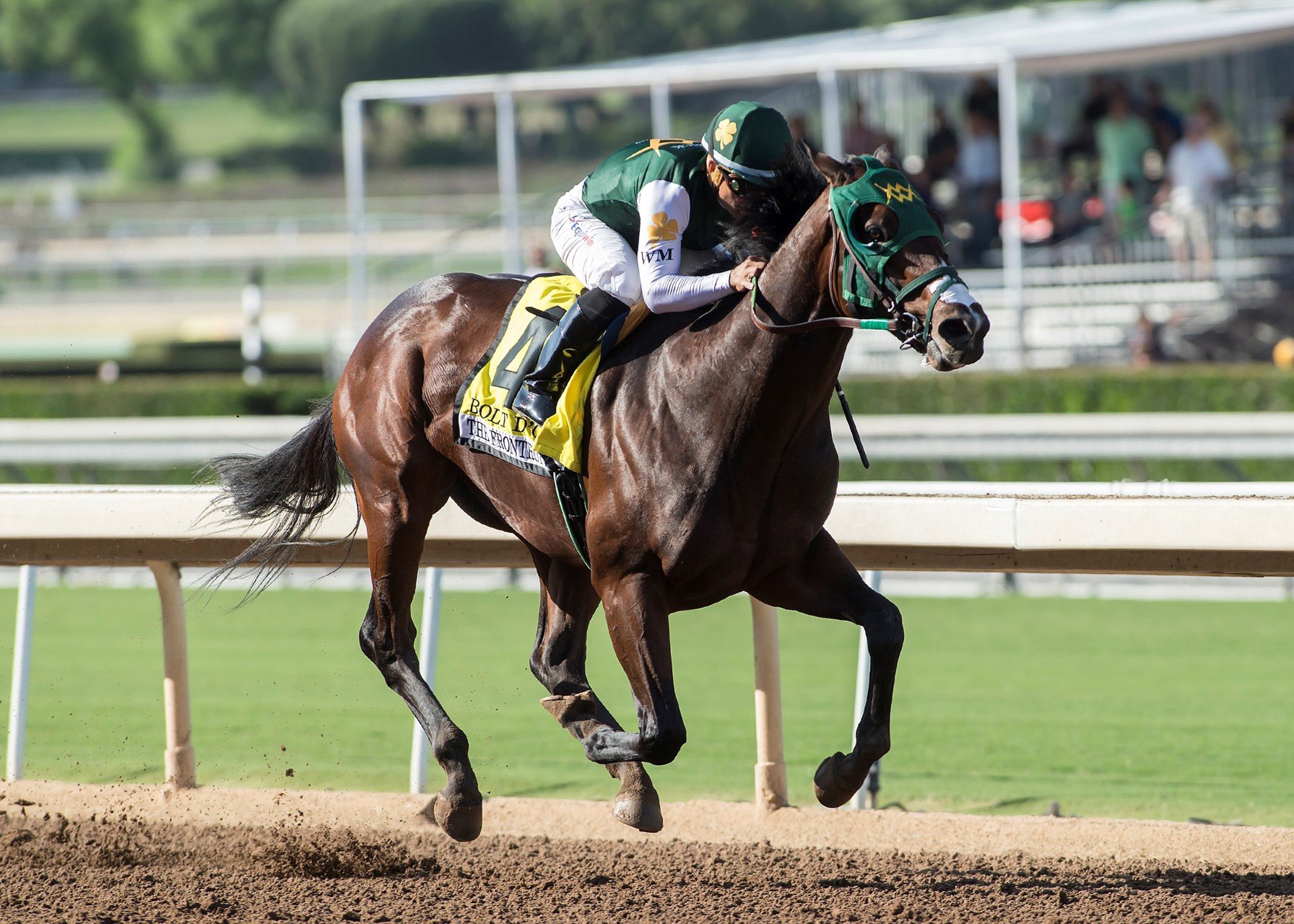 Bolt D'Oro