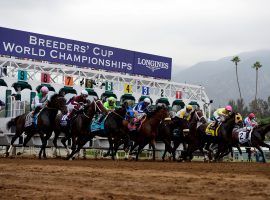 The Breeders’ Cup Betting Challenge is one of the largest handicapping contests in the sport of horse racing. (Image: Kelvin Kuo/USA TODAY Sports)