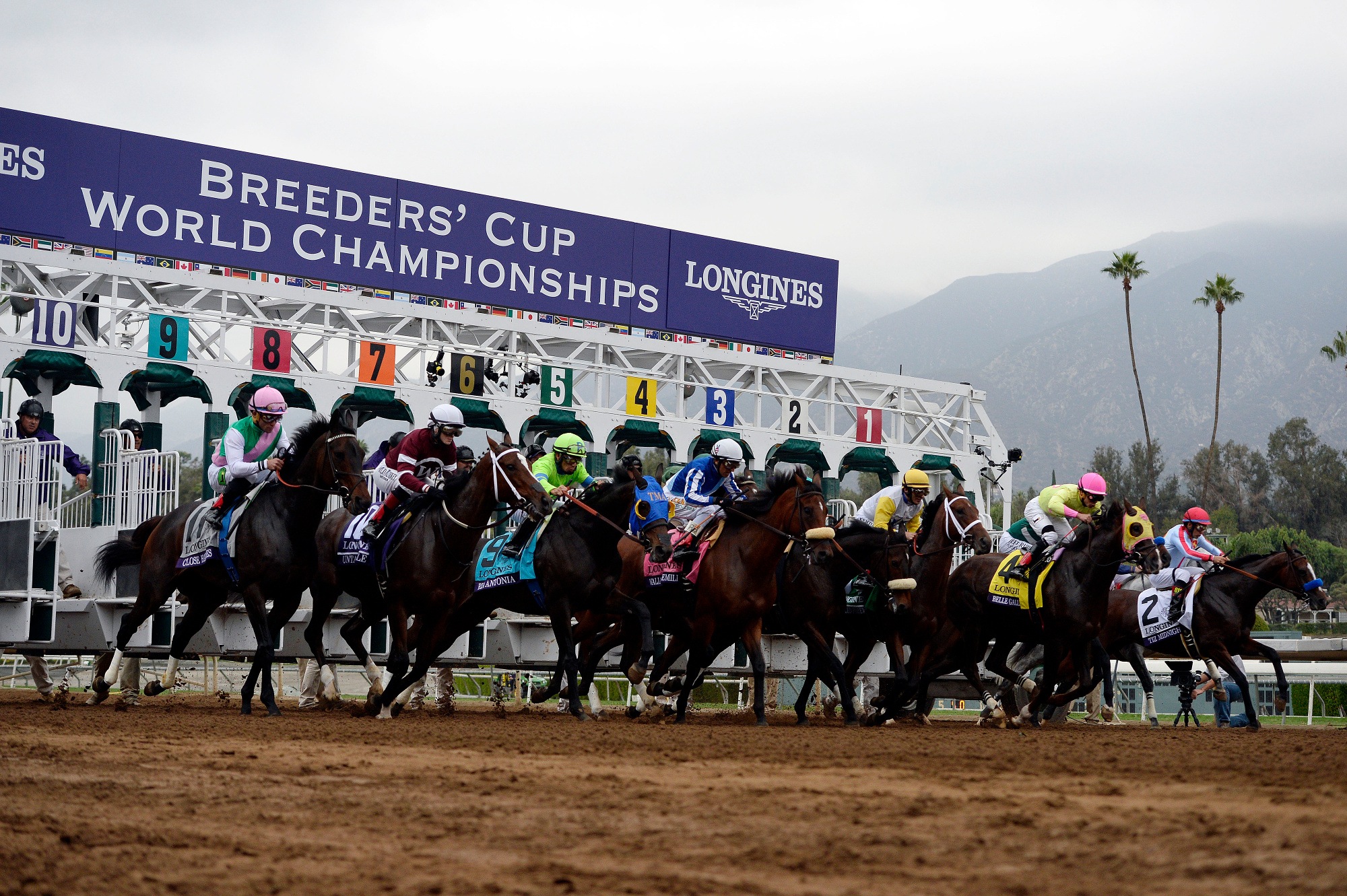 Breeders’ Cup Betting Challenge BCBC