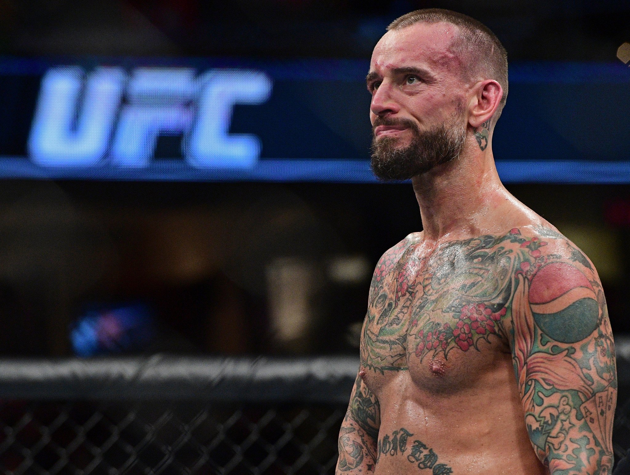 UFC 225 CM Punk