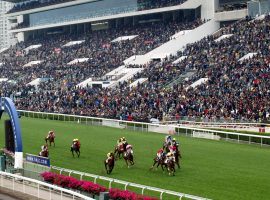 While horse racing in Hainan could be a boost to the industry in China, it would not pose much of a threat to racing in Hong Kong, at least in the short term. (Image: Engel & Volkers)