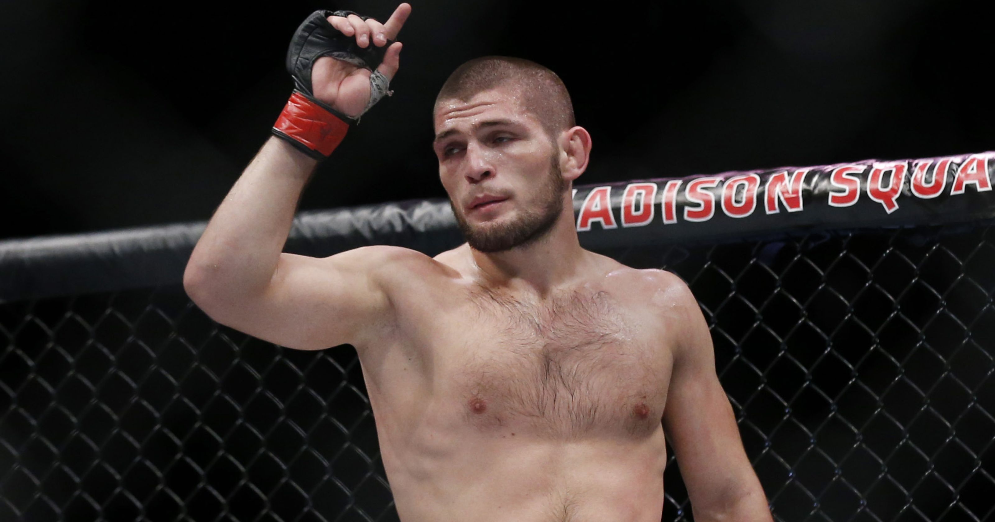 UFC 223 Nurmagomedov Iaquinta