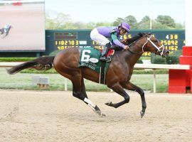 Magnum Moon won the Arkansas Derby and will be one of 20 horses in the Kentucky Derby. (Image: Coad Photography)