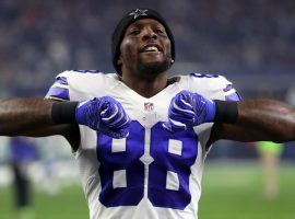 After being waived by the Dallas Cowboys, wide receiver Dez Bryant is looking for a new team. (Image: Getty)