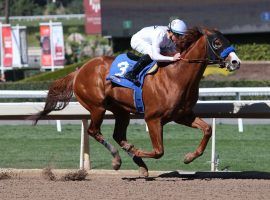 Justify has captured the racing world by storm in just two outings and is the favorite at Saturday’s Santa Anita Derby. (Image: Benoit)