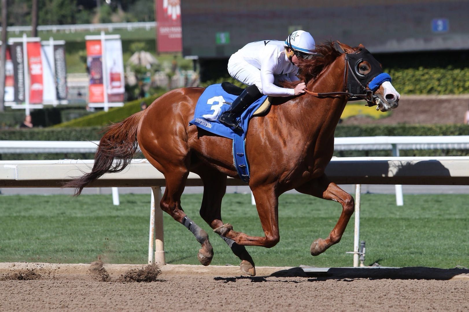 Justify