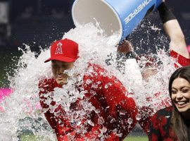 Under that splash of water is Los Angeles Angels sensation Shohei Ohtani, being doused in celebration after hitting his first home run. (Image: AP)