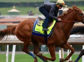 Kentucky Derby favorite Justify trains before the Santa Anita Derby, which he won by 3.5 lengths. (Image: Santa Anita Park/Zoe Metz Photography)