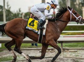 Audible is included in several Kentucky Derby prop bets being offered by sportsbooks. (Image: Eclipse Sportswire)