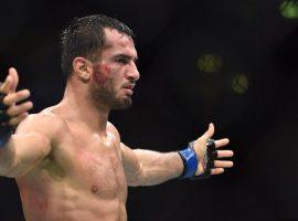 Bellator middleweight champion Gegard Mousasi will reportedly defend his title against welterweight champion Rory MacDonald in September. (Image: Per Haljestam/USA TODAY Sports)