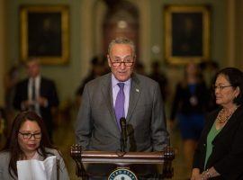 Senator Chuck Schumer (D-New York) released a proposal on Wednesday that would establish a federal framework for legalized sports betting. (Image: Zach Gibson/Getty)