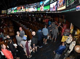 Gamblers watch NCAA basketball and other sporting events at the Westgate Las Vegas SuperBook in March 2018. (Image: Getty)