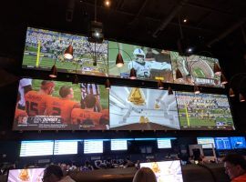 Bettors watch college football action on September 2016 at the FanDuel Sportsbook at Meadowlands Racetrack in New Jersey. (Image: Ed Scimia/OnlineGambling.com)