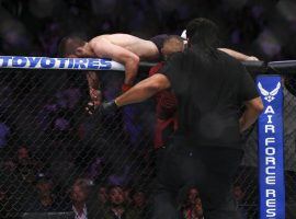 Khabib Nurmagomedov climbs over the Octagon wall after his victory over Conor McGregor in their lightweight title fight at UFC 229. (Image: Chase Stevens/Las Vegas Review-Journal)