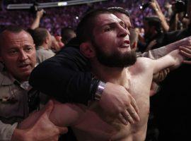 Security personnel hold back Khabib Nurmagomedov during a post-fight brawl outside the Octagon following his victory over Conor McGregor at UFC 229. (Image: AP)