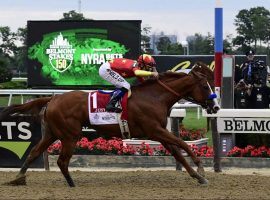 Justify became the 13th horse in the history of the Triple Crown to win all three races. (Image: USA Today Sports)