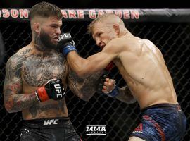 T.J. Dillashaw, right, scored a TKO on challenger Cody Garbrandt  for the second time. (Image: Esther Lin, MMA Fighting)