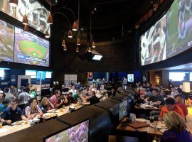 Sports betting expanded across the United States in 2018, with new sportsbooks â€“ like the FanDuel Sportsbook at Meadowlands Racetrack â€“ opening in several states. (Image: Ed Scimia/OnlineGambling.com)