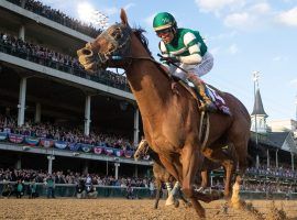 Accelerate, seen here winning the Breeders' Cup Classic at Churchill Downs, may have had a better 2018 than Triple Crown winner Justify. (Image: Alex Evers/The Buffalo News)