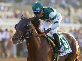 Win or lose, Accelerate is off to the breeding shed after Pegasus World Cup. (Image: AP)