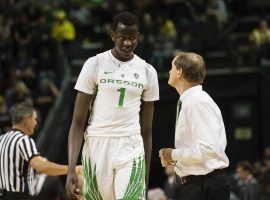 Oregon freshman Bol Bol will miss the remainder of the season with a fracture in his left foot. (Image: Troy Wayrynen/USA Today Sports)