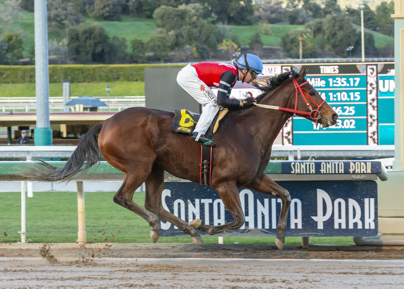 Canadian horse Escape Clause is making Santa Anita Park his home away from home as he runs away with the win in the La Canada Stakes last weekend. (Image: Orange County Register)