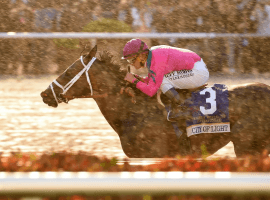 City of Light easy Victor in 3rd Pegasus World Cup. Lauren King/Gulfstream