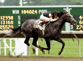 Holy Bull winning the 1994 Haskell Stakes at Monmouth Park | Equi-Photo