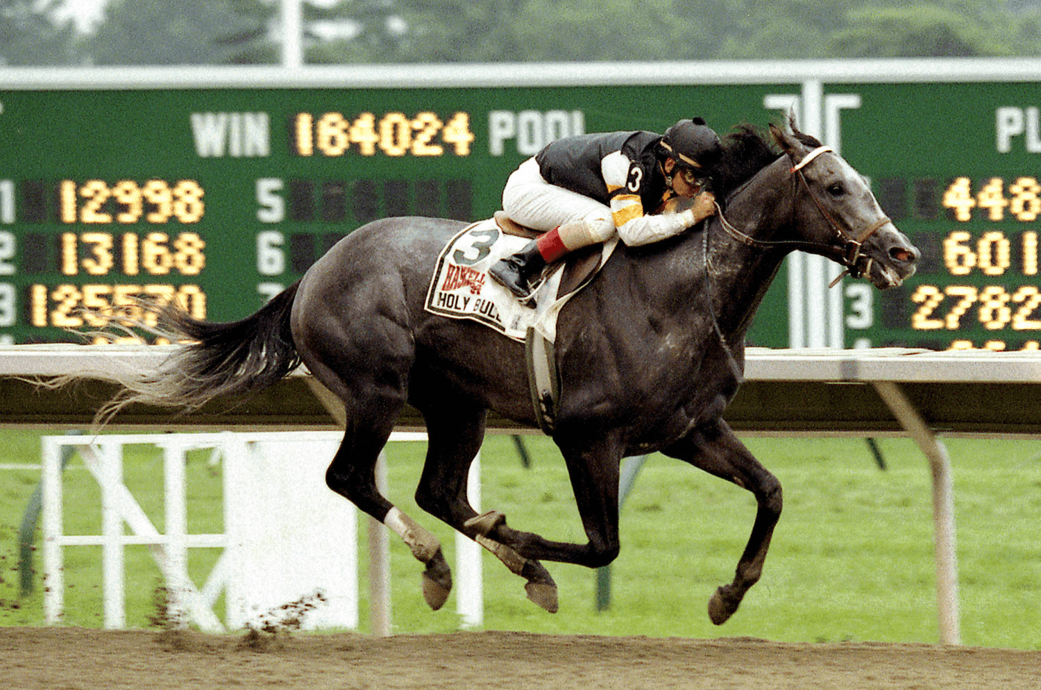 Holy Bull, 1994 Haskell Stakes