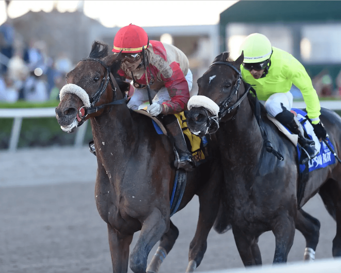 Mikos at Gulfstream Park