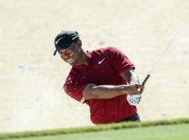 Tiger Woods makes his season debut at the Farmers Insurance Open at Torrey Pines where he has won eight times. (Image: Getty)