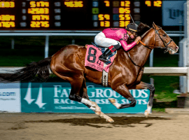 Wow. War of Will ran way ahead of the field to take an easy win -- and 10 Kentucky Derby points -- at the Fair Grounds on Saturday. (Image: Racing Dudes)