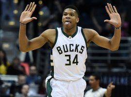 Giannis Antetokounmpo of the Milwaukee Bucks celebrates a dunk against the New York Knicks at the Bradley Center in Milwaukee.  (Image: Stacy Revere/Getty)