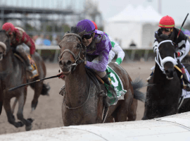 Harvey Wallbanger blows up tote board in Holy Bull Stakes at Gulfstream Coglianese Photos/Kenny Martin