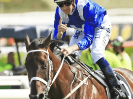 Winx wins once more - 30 in a row for the super mare. (Image: Getty Photo)