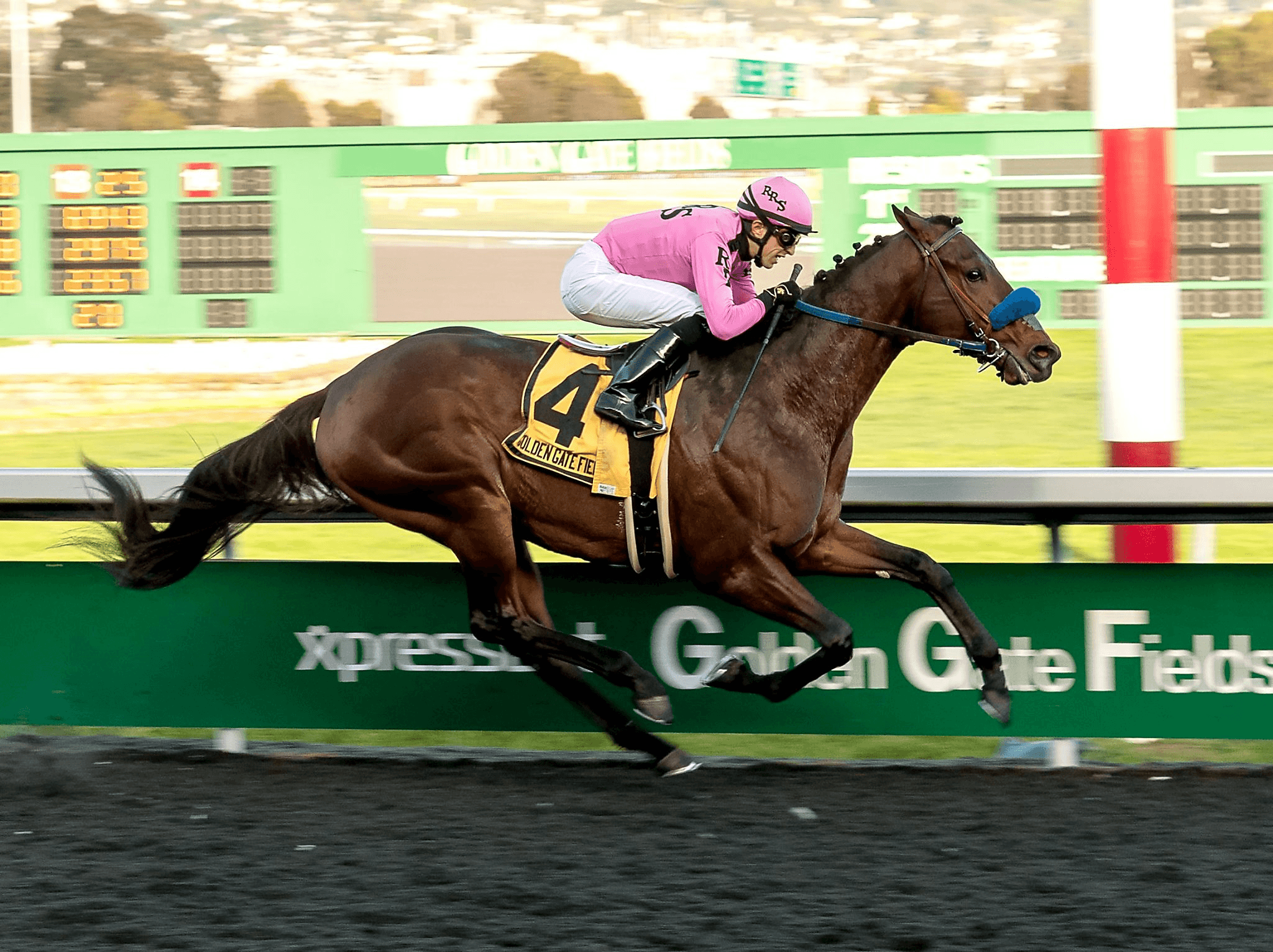 Anothertwistafate in the El Camino Real Derby at Golden Gate