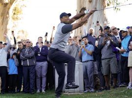 Tiger Woods returns to Riviera Country Club to play in the Genesis Open, a tournament he has never won. (Image: AP)