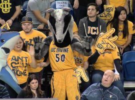 The UC Irvine mascot, Peter the Anteater, at the Big West Tournament in Anaheim, California. (Image: UC Irvine Athletics)