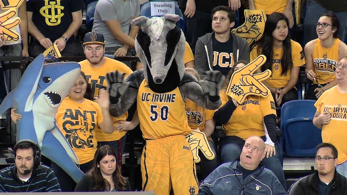 UC Irvine Anteaters