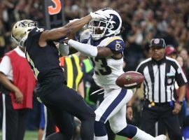 The lack of a pass interference call at the end of the NFC Championship Game may have sparked calls for changes to the instant replay system this offseason. (Image: Chuck Cook/USA Today Sports)