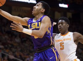 LSU guard Tremont Waters drives to the basket against Tennessee during a January 2019 game in Knoxville, TN. (Image: Brianna Paciorka/News Sentinel)