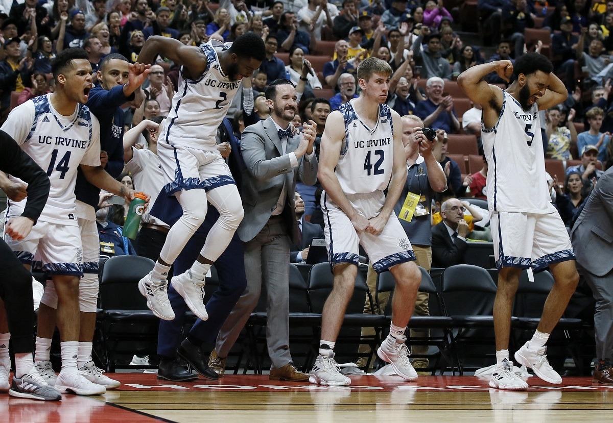 UC Irvine Anteaters