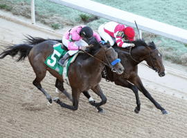 Omaha Beach-red cap-slugging it out with Game Winner at Oaklawn Park. (Image: Coady Photography)