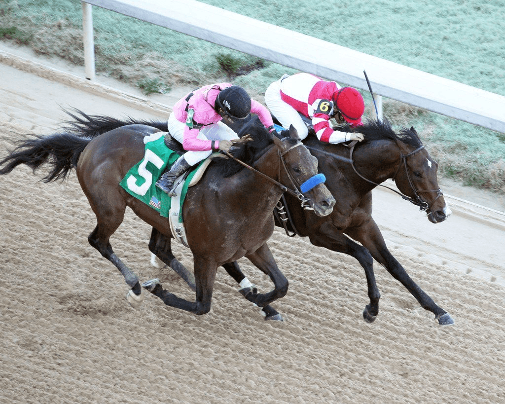 Omaha Beach wins by a nose